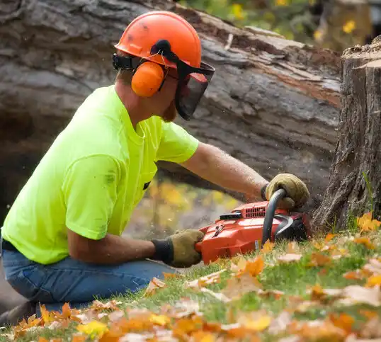 tree services Branson